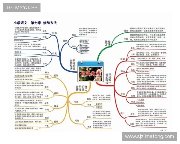 全面解析保龄球运动规则与比赛技巧助你轻松掌握得分要点