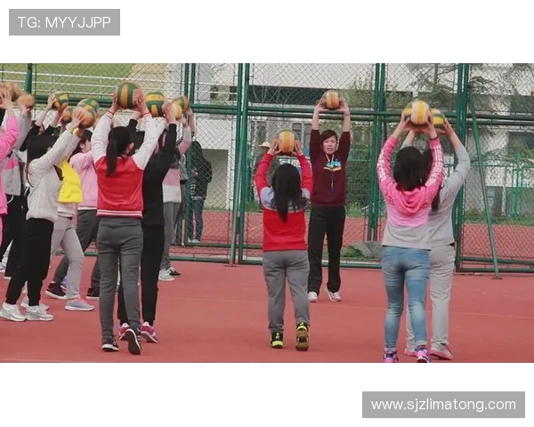 排球入门指南让初学者轻松掌握技巧享受运动乐趣